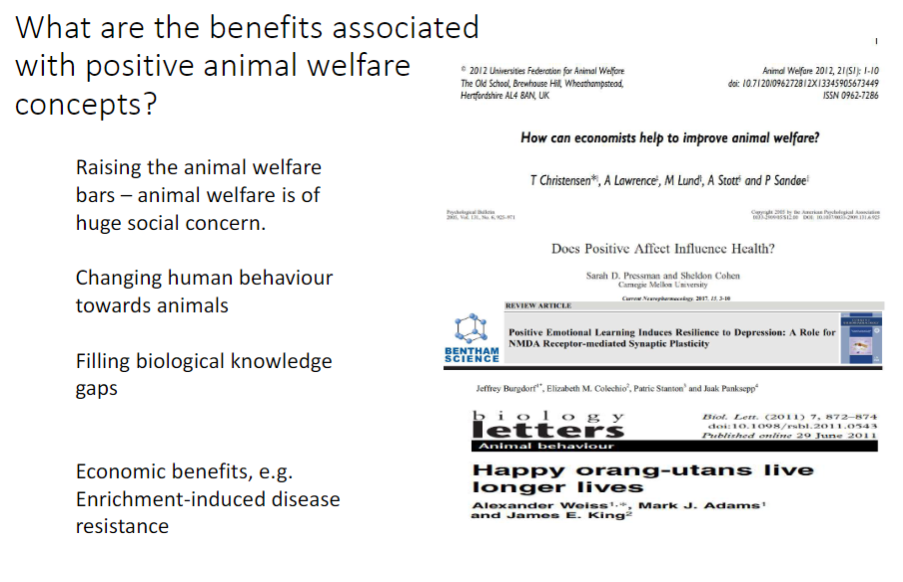 <p><strong>Raising Animal Welfare Bars</strong><br>āāAnimal welfare is of huge <strong>social concern</strong></p><p><strong>Changing Human Behaviour</strong><br>āāPromotes better <strong>treatment</strong> of animals</p><p><strong>Filling Biological Knowledge Gaps</strong><br>āāImproves understanding of <strong>animal needs</strong></p><p><strong>Economic Benefits</strong><br>āāEnrichment-induced <strong>disease resistance</strong></p>