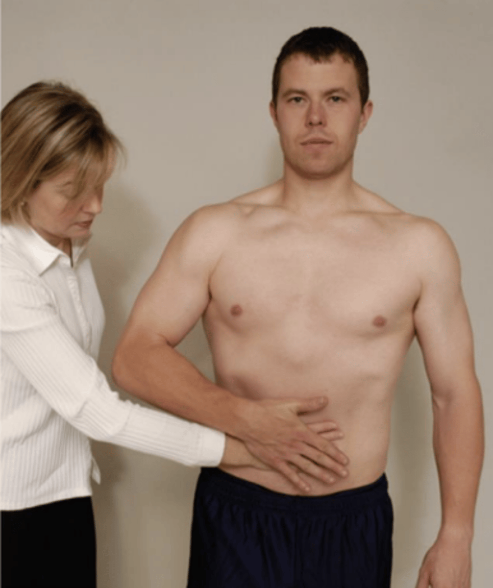 <p>- checks the subscapularis</p><p>(+): pt unable to maintain pressure on PT hand while moving elbow forward or posteriorly flexes the wrist or extends the shoulder = tear of subscapularis muscle</p>