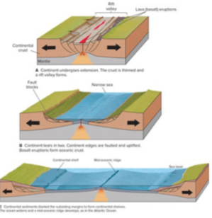 <ul><li><p>Drift Apart</p></li><li><p>Often associated with frequent earthquakes, magma ascends from the earth’s mantle to the surface. It cools and solidifies, forming a fresh oceanic crust</p></li></ul>