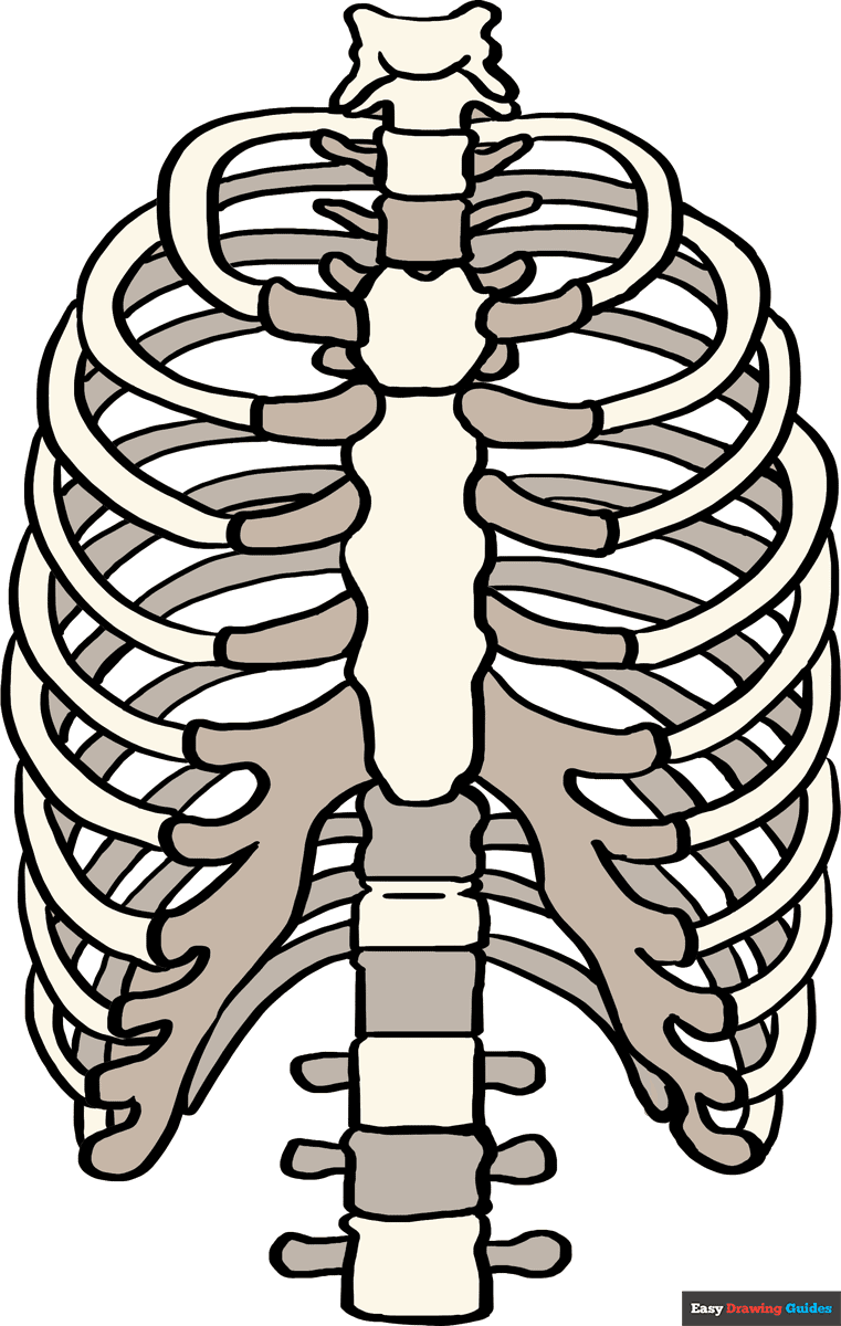 <p>What bone is this?</p>