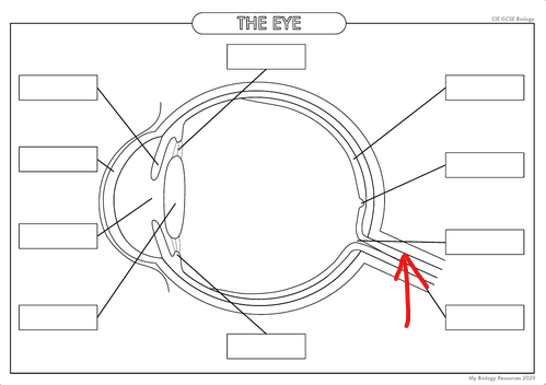 <p>What is the part in the diagram called?</p>