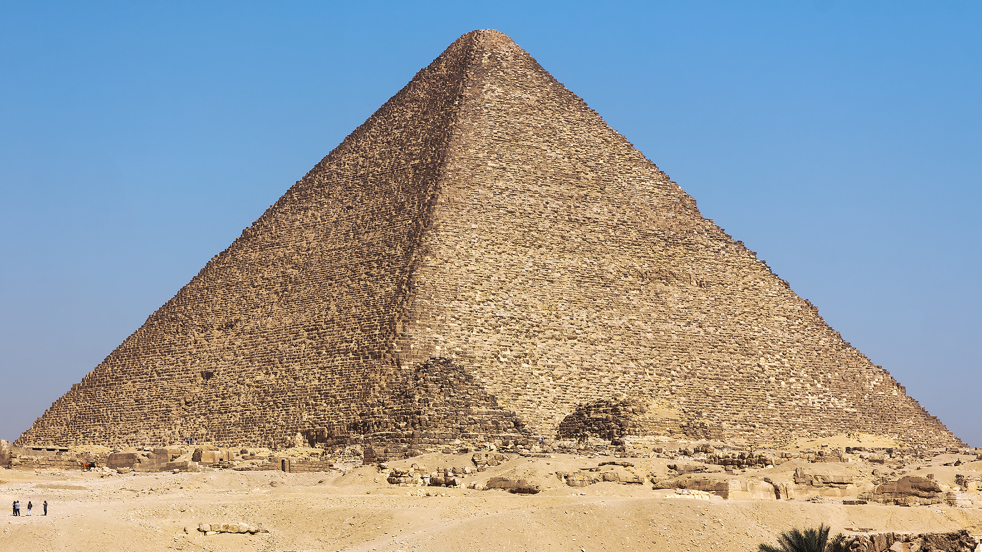 <p>Identify</p>