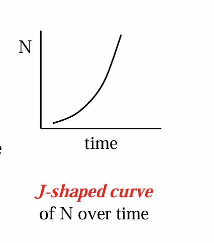 <ul><li><p>Per capita rate of increase, <strong>r,</strong> is constant</p></li></ul><p> (birth and death rates are constant)</p><ul><li><p>No emigration or immigration</p></li><li><p>Either no age structure, or a stable age structure</p></li><li><p>No genetic variation in growth rate</p></li><li><p>shows <strong>J-shaped curve</strong> of Population (N) over time</p></li></ul><p></p>