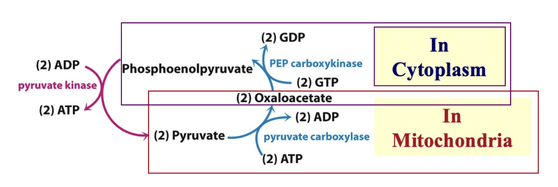 <p>very expensive</p>