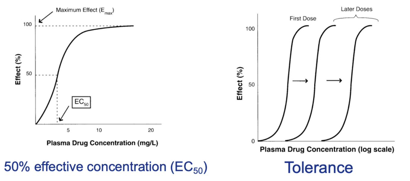 <ul><li><p><span>Effective concentration&nbsp;</span></p></li><li><p><span>Parameter of drug potency&nbsp;</span></p></li><li><p><span>That dose at that concentration produces 50% of the response of that drug&nbsp;</span></p></li></ul>