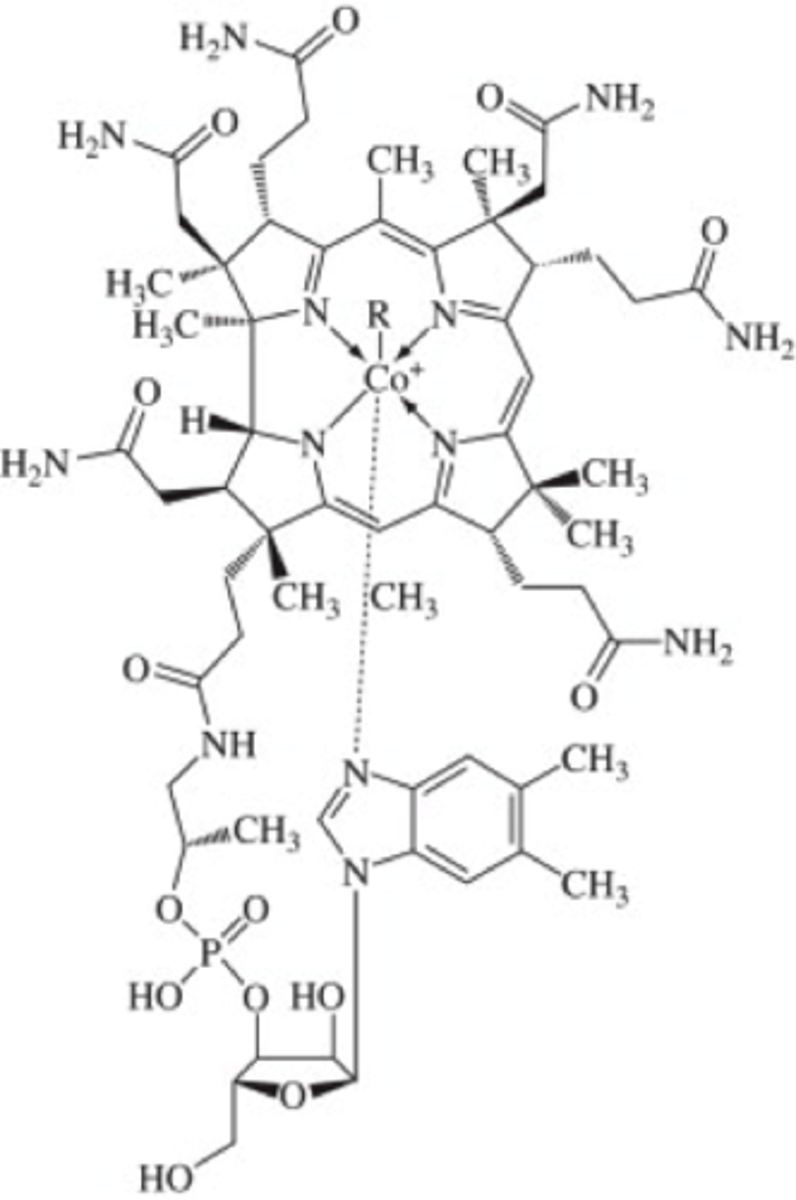 <p>Prosthetic Group</p><p>Intramolecular rearrangements, transfer of methyl groups.</p><p>Source; Vitamin B12 / Cobalamin</p>
