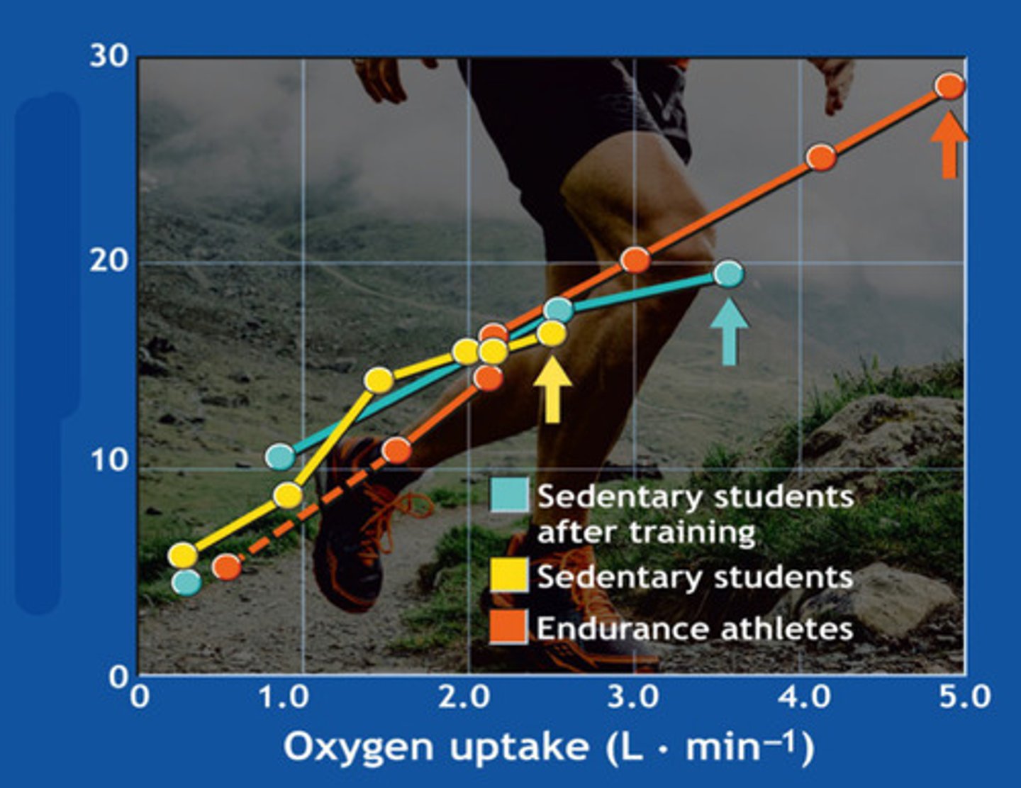 <p>what is this graph showing</p>