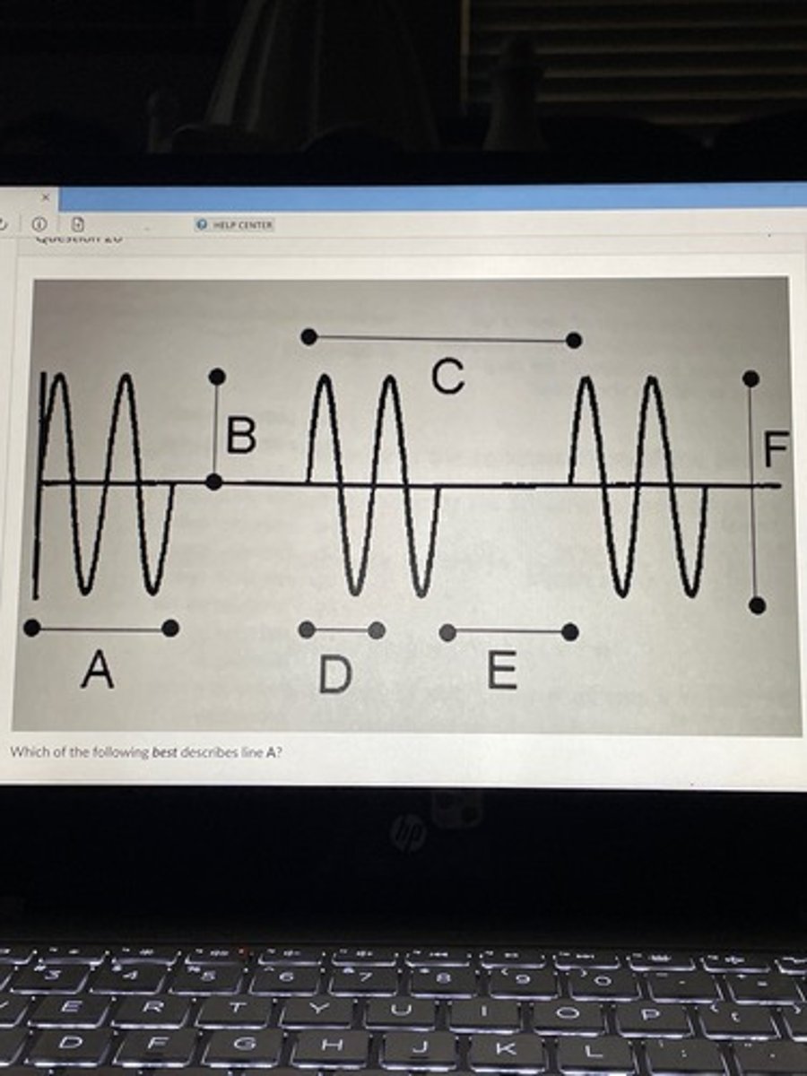 <p>Which of the following best describes line A?</p>