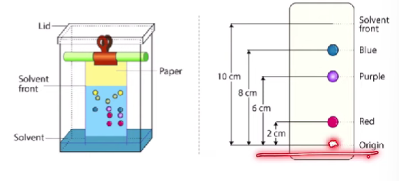 <ul><li><p>Paper chromatography → used to separate pure substances using a solvent </p><ul><li><p>Depends on the size of the molecules</p></li><li><p>Depends on the polarity </p></li></ul></li><li><p>E.g. (nonpolar solvent), the a nonpolar pure substance will rise up faster along with the solvent. A polar substance would not rise up as fast. </p><ul><li><p>Bigger size - takes longer</p></li></ul></li></ul>