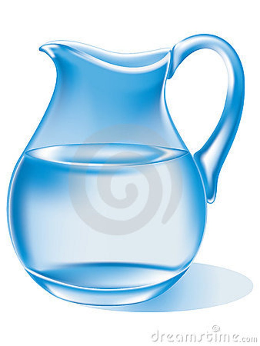 <p>pitcher of water</p>