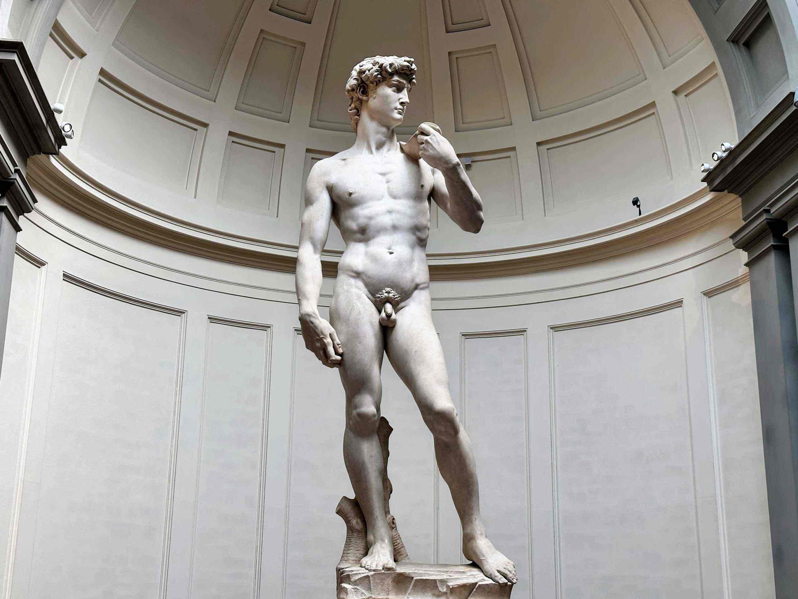 <p><em>David</em></p>