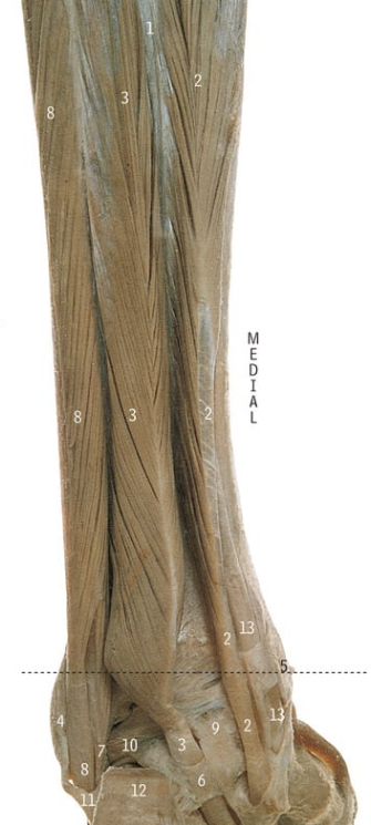 <p>2</p>