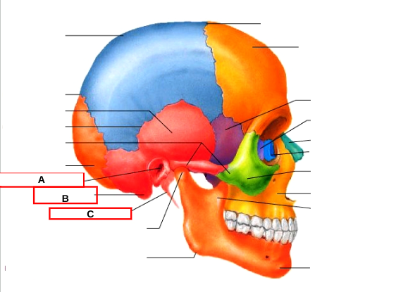 <p>What is C?</p>