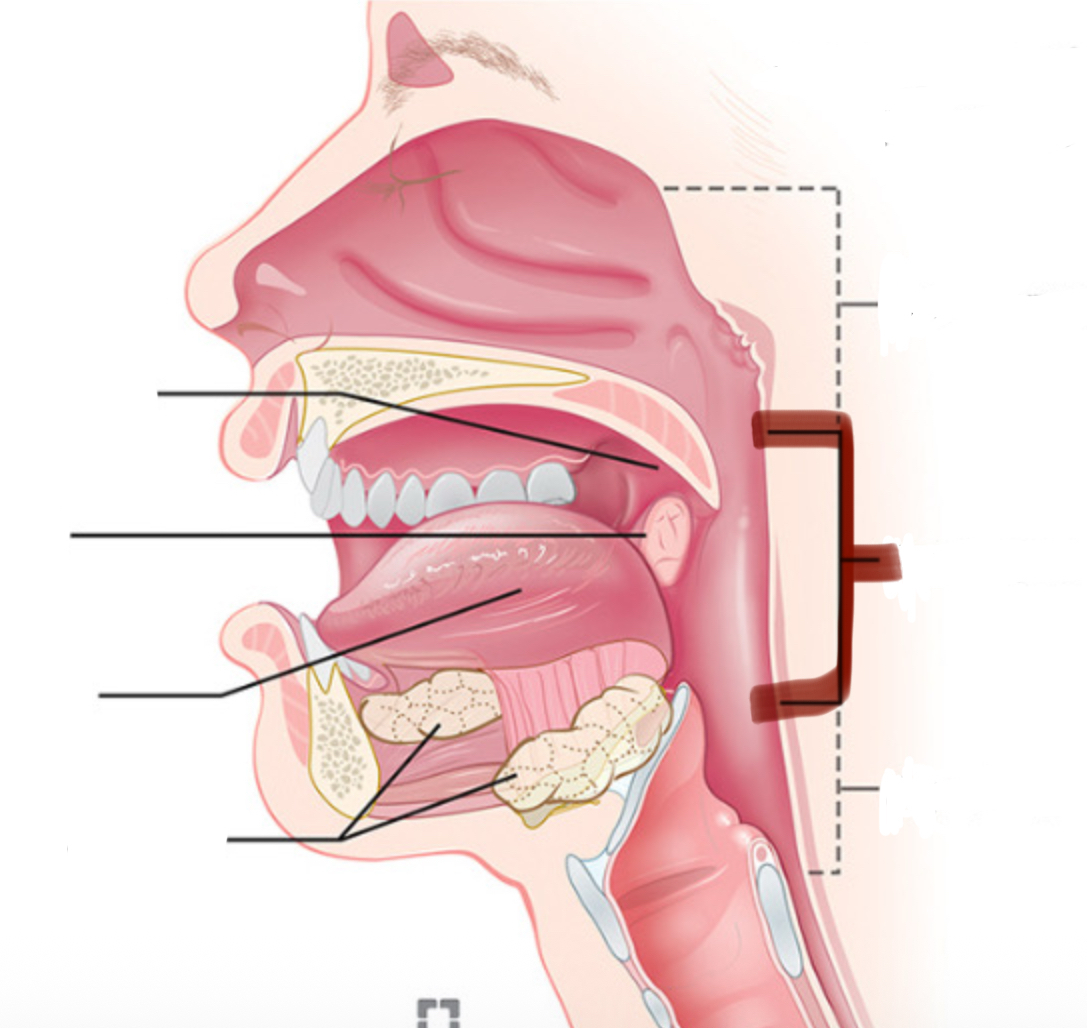 <p>Wat word hier aangeduid</p>