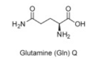 <p>Q</p>