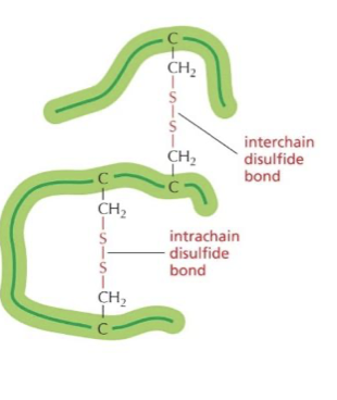 <p>it occurs when two sulfurs bond together and it is a really tight bond</p>