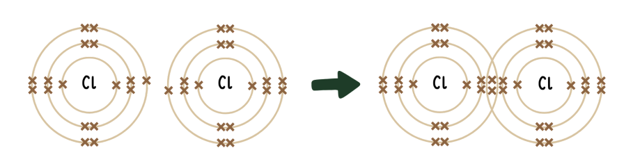 <ul><li><p>covalent bonds are formed when a pair of electrons is shared between 2 nonmetal atoms leading to noble gas electron configuration</p></li><li><p>this process can be shown visually using the dot-and-cross diagram method</p></li></ul><p></p>