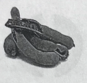 <p>the tamarind</p>