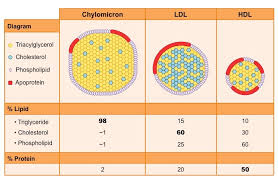 <p>lipoproteins </p>