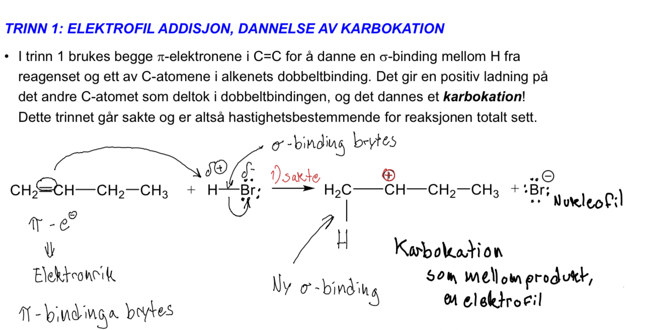 <p>H binder seg til ett C-atom i dobbeltbindingen, karbokation dannes på det andre.</p>