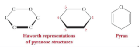 <p><strong>Pyran </strong>(pyranose)</p>