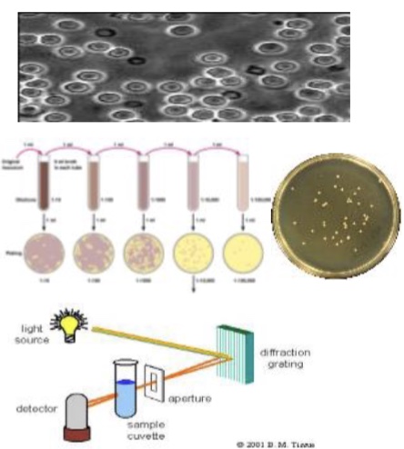 <p>What are the 3 methods of measuring the growth of a population of microbes</p>