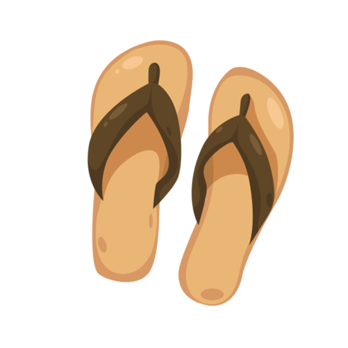<p>The sand is hot! I need my __________ for my feet.</p>