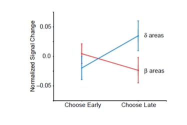 <p><strong>McClure et al (2004)</strong></p><p>which brain regions are beta system</p><p>which brain regions are delta system</p>