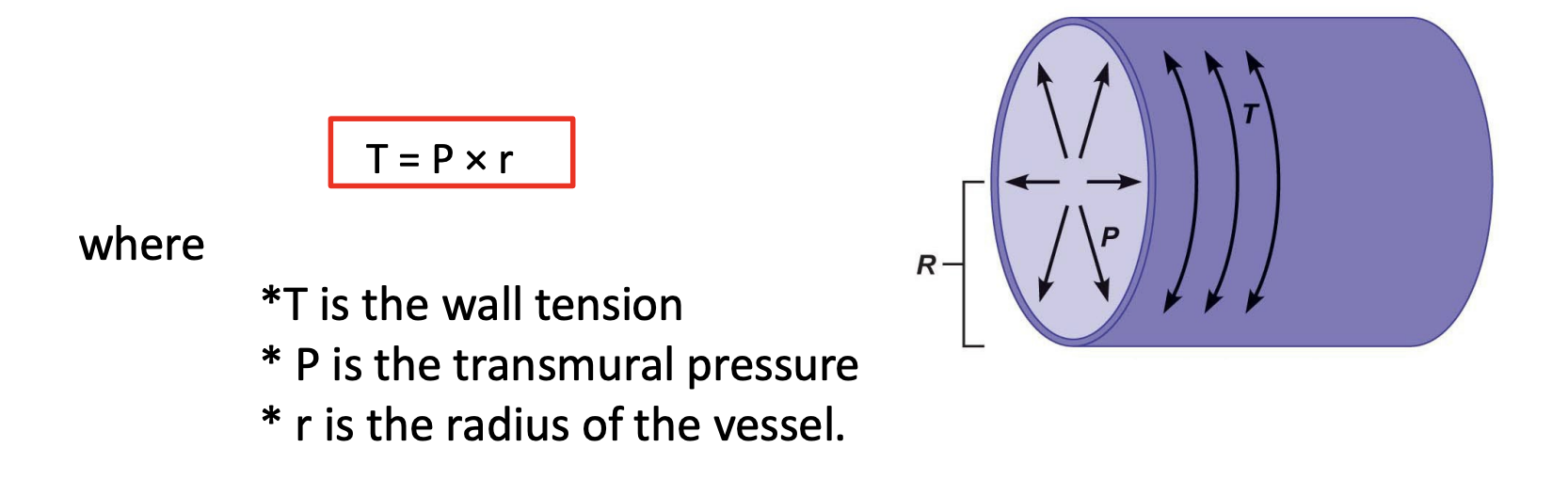 <ul><li><p>T = P X R</p></li><li><p>Large diameter needs thick wall due to pressure</p></li></ul><p></p>