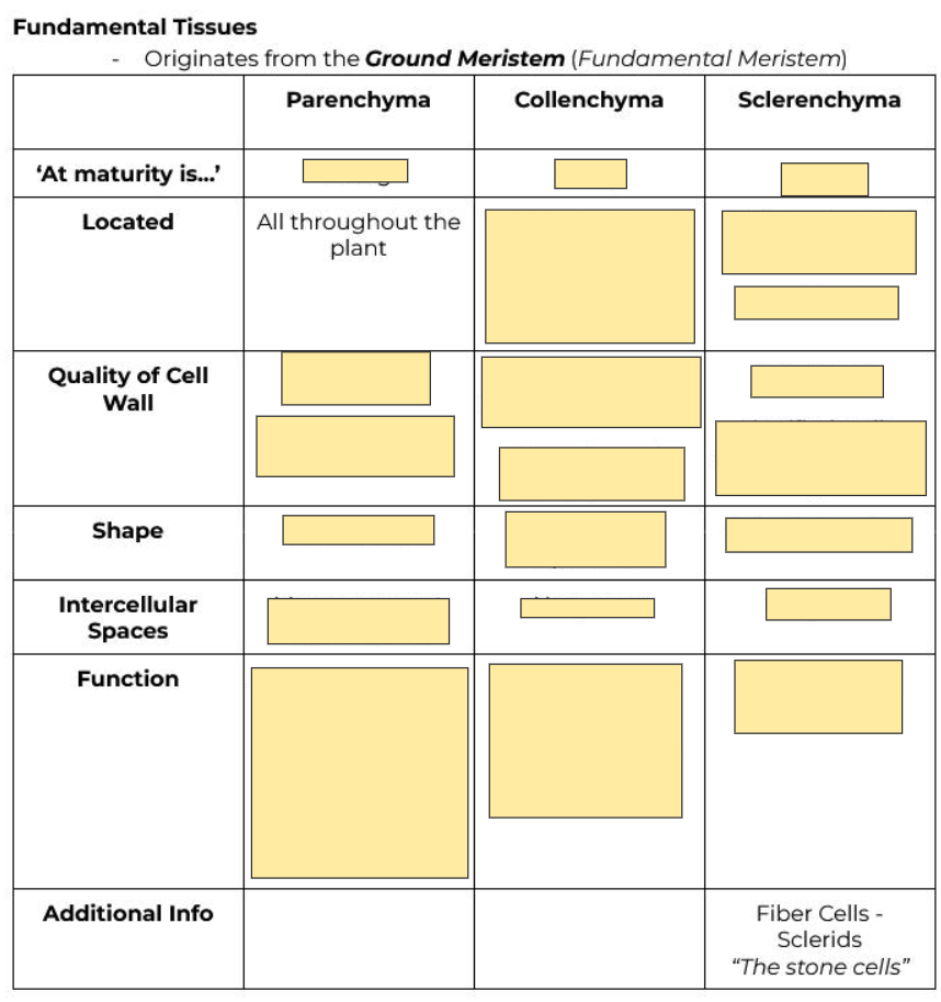 <p>All throughout the plant</p>