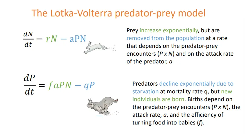 <ul><li><p><strong>P </strong>is the population of the <strong>predator</strong></p></li><li><p><strong>N </strong>is the population of the <strong>prey</strong></p></li></ul><p></p><ul><li><p>if you set both equations to 0, you can rearrange to find out the combinations that are needed to achieve constant population sizes of each (zero isoclines)</p></li><li><p><strong>prey zero isocline = r/a</strong></p></li><li><p><strong>predator zero isocline = q/fa</strong></p></li></ul><p></p>