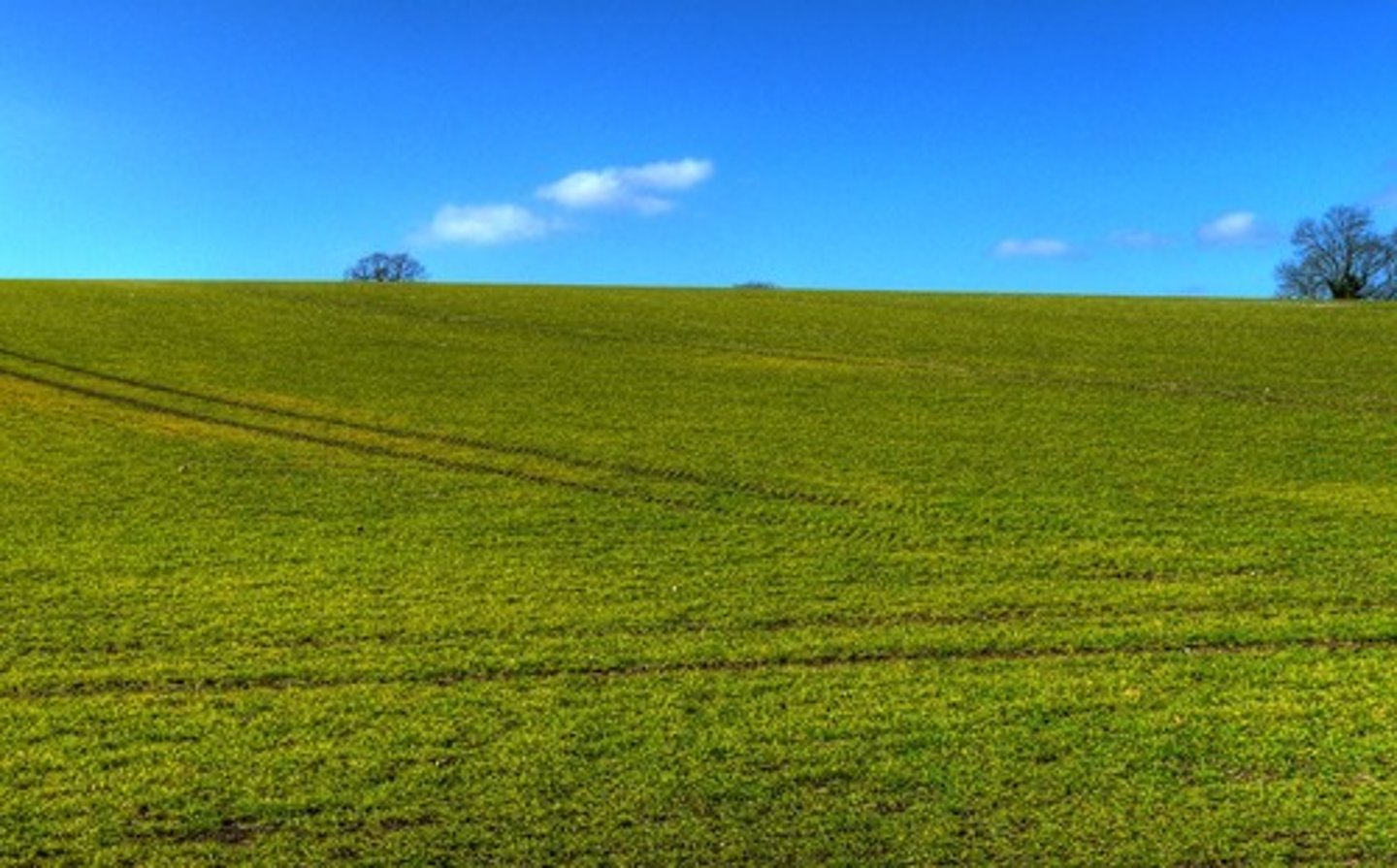 <p>das Feld (Mein Großvater musste mehr als zehn Stunden auf dem Feld arbeiten.)</p>