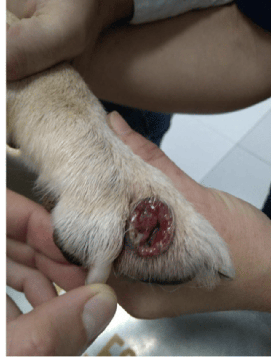 <p>what is this?</p>