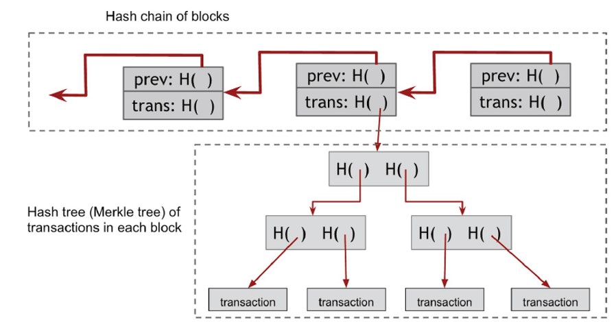 <p>La chaîne de blocs Bitcoin contient <strong>deux structures de hachage différentes</strong> : </p><ul><li><p>Le premier est une chaîne de hachage de blocs qui relie les différents blocs entre eux. </p></li><li><p>Le second est interne à chaque bloc et est un arbre Merkle de transactions au sein des blocs.</p></li></ul>