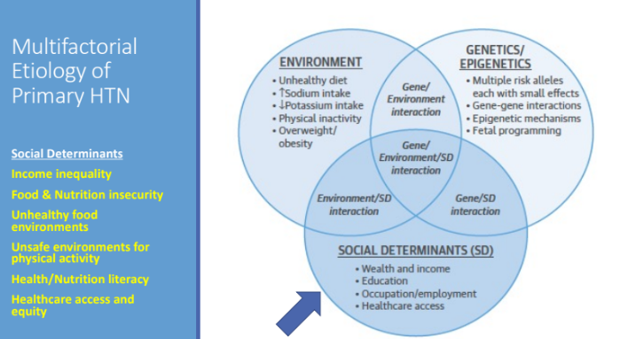 <ol><li><p>Income inequality </p></li><li><p>Food and nutrition insecurity </p></li><li><p>Unhealthy food environments</p></li><li><p>Unsafe environments for physical activity </p></li><li><p>Health/nutrition literacy </p></li><li><p>Healthcare access and equity </p></li></ol><p></p>