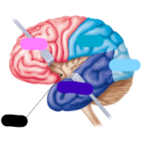 <p>Identify dark blue region </p>