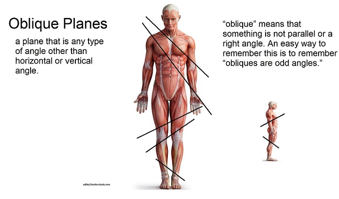 <p>Oblique Plane</p>