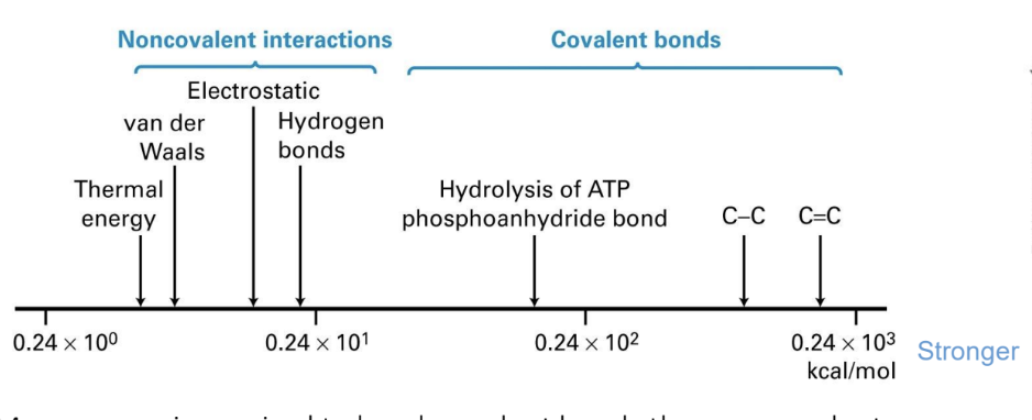 <p>Interactions that do not involve shared electrons; individually weak but collectively can be very strong; includes hydrogen bonds, ionic interactions, and van der Waals forces.</p>