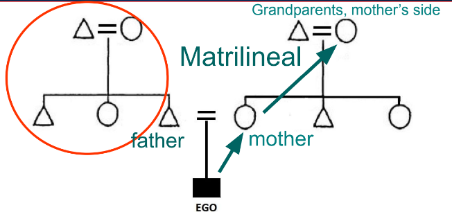 <p>What are matrilineal kinship systems?</p>