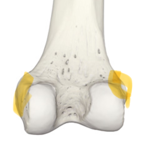 <p>hoe heten deze delen</p>