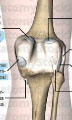 <p>viršuje abu esantys</p>