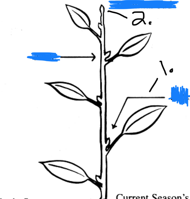 <p>What is 1 </p>
