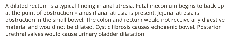 <p>c) anal atresia</p>