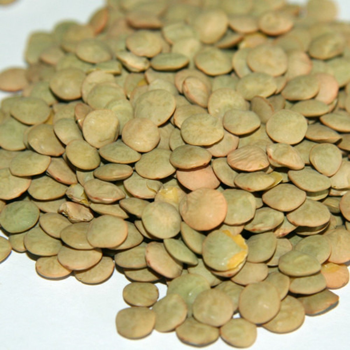 <p>lentils</p>
