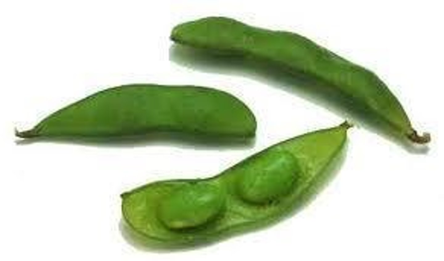 <p>Edamame, tempeh, and tofu.</p>