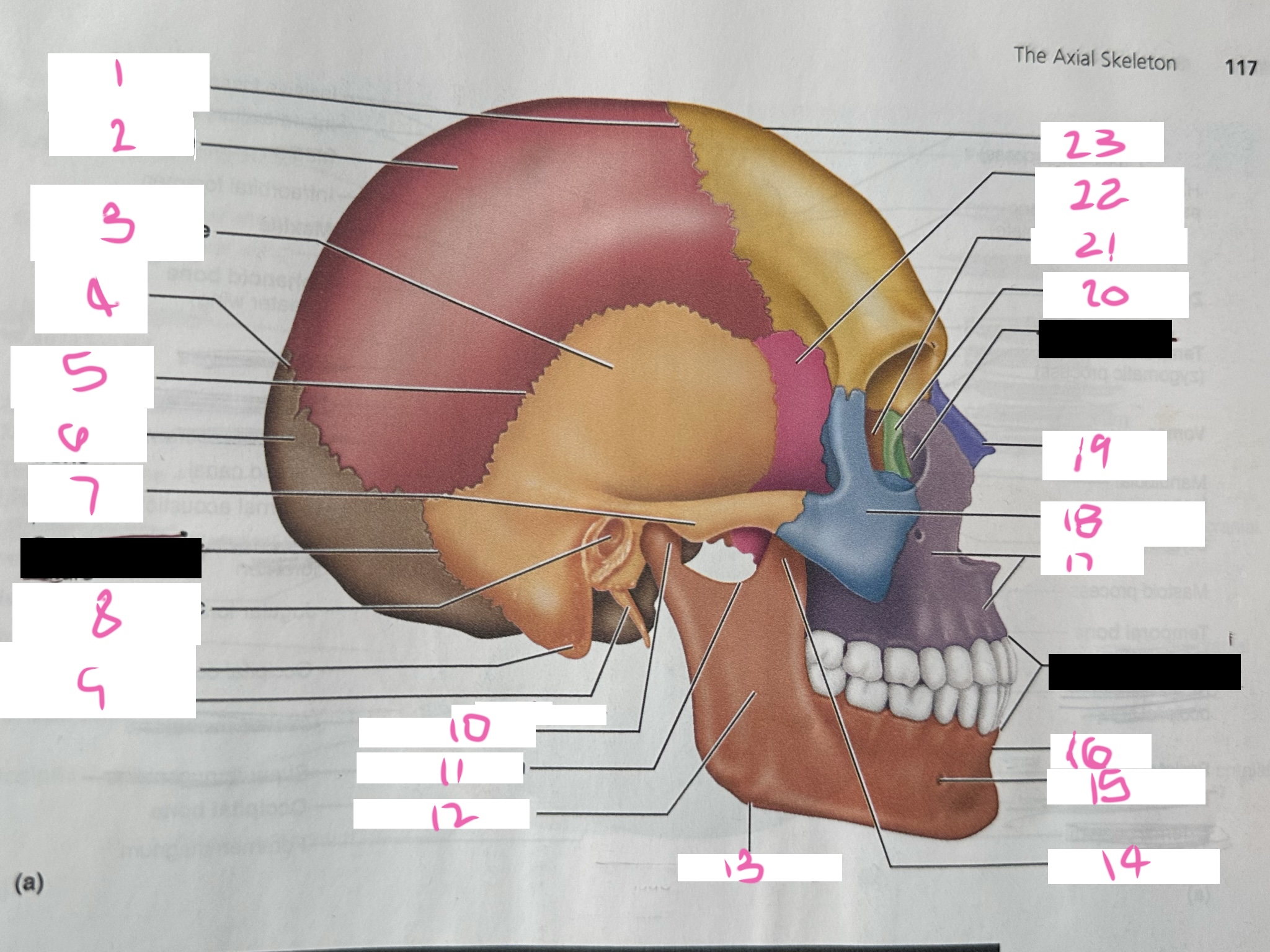 <p>what is 5</p>