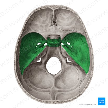 <p><strong>_____ Cranial Fossa</strong></p><p><strong>• Optic Canals</strong></p><p>– Optic nerves (CN II) and ophthalmic arteries</p><p><strong>• Superior Orbital Fissure</strong></p><p>– Opthalmic veins, ophthalmic nerve (CN V1), CN III, IV, and VI</p><p><strong>• Foramen Rotundum</strong></p><p>– Maxillary nerve (CN V2)</p><p><strong>• Foramen Lacerum</strong></p><p>– Internal carotid artery (and its sympathetic and venous plexi)</p><p><strong>• Foramen Spinosum</strong></p><p>– Middle meningeal artery/vein; meningeal branch of CN V3</p><p><strong>• Foramen Ovale</strong></p><p>– Mandibular nerve (CN V3), and accessory meningeal artery</p>