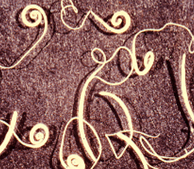 <p>What is the common name for this adult parasite? </p>