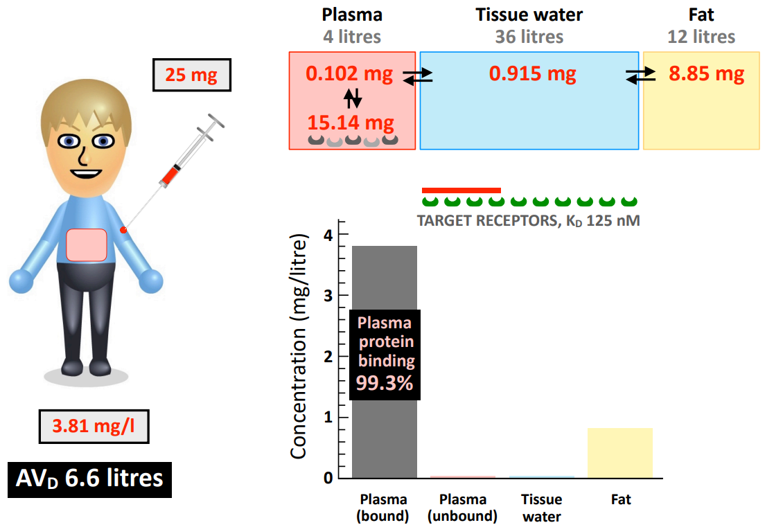 <p>What does a low AV<sub>D</sub> value (close to 4 L plasma volume) tell you about the drug distribution?</p>