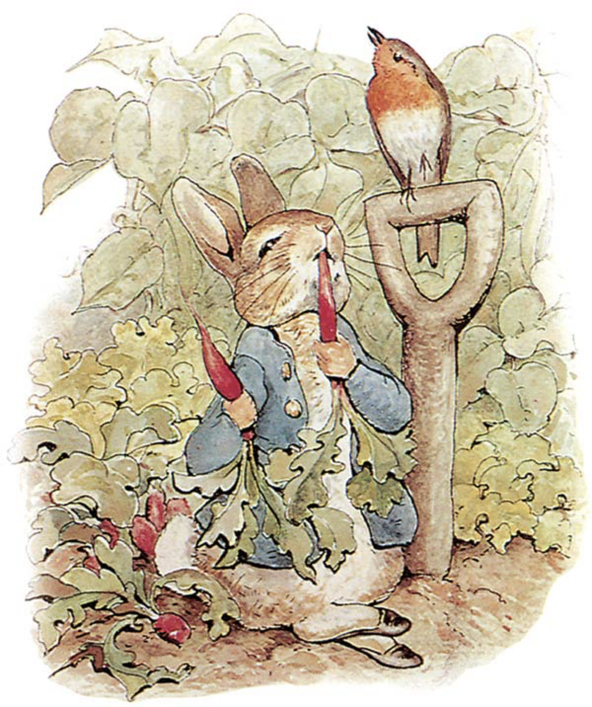 <p>How did The Tale of Peter Rabbit originate?</p>